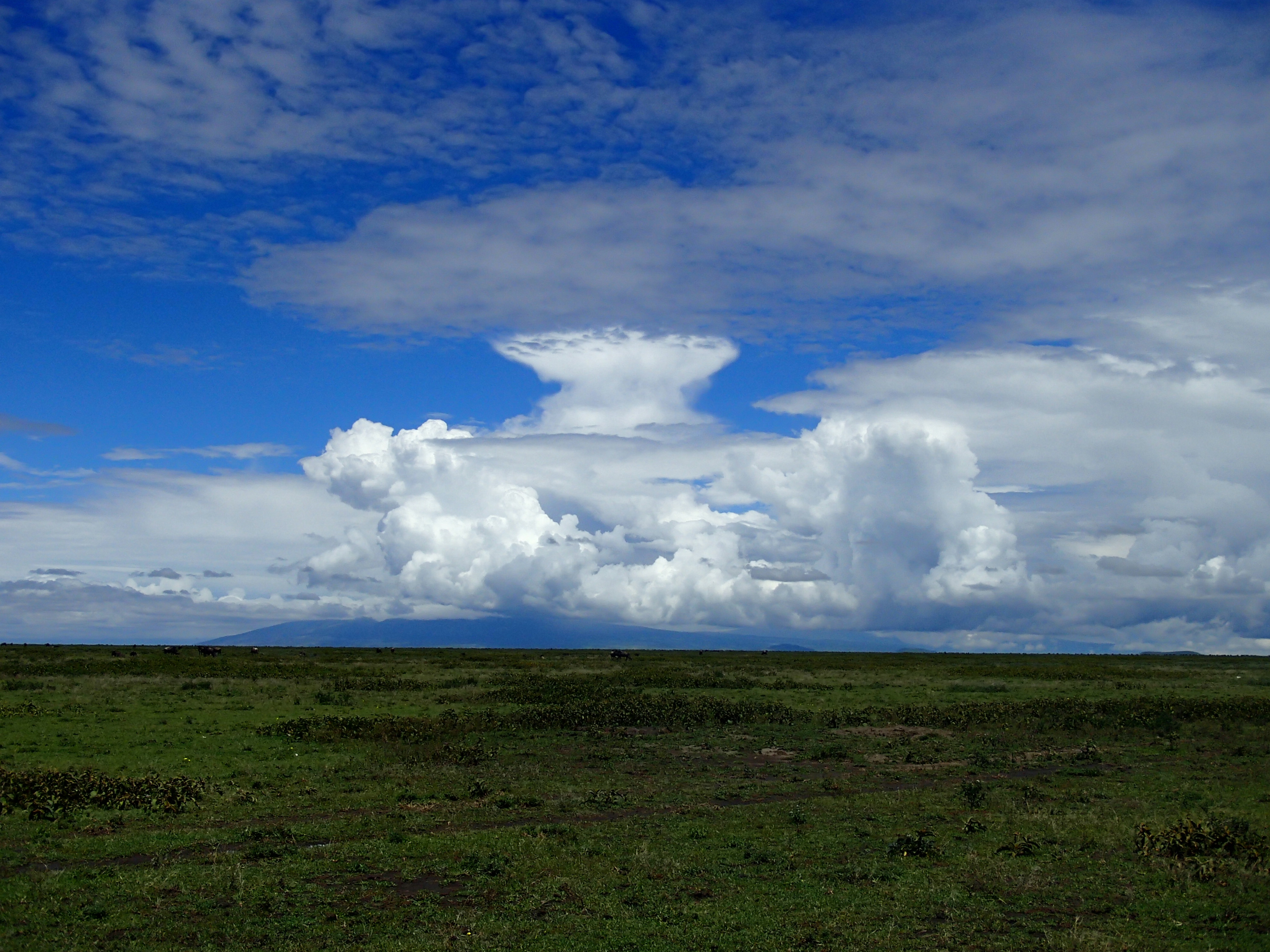Serengeti clouds