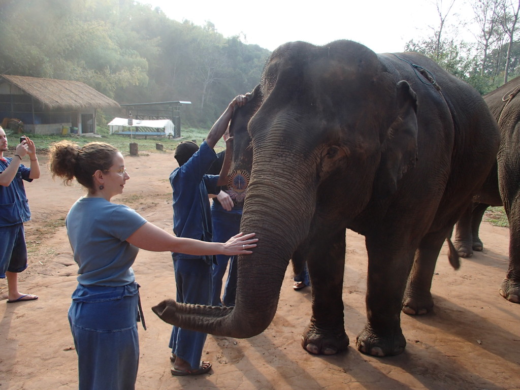 Anantara elephant camp Thailand