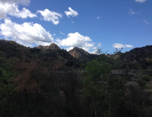 LA Hike: Malibu Creek State Park