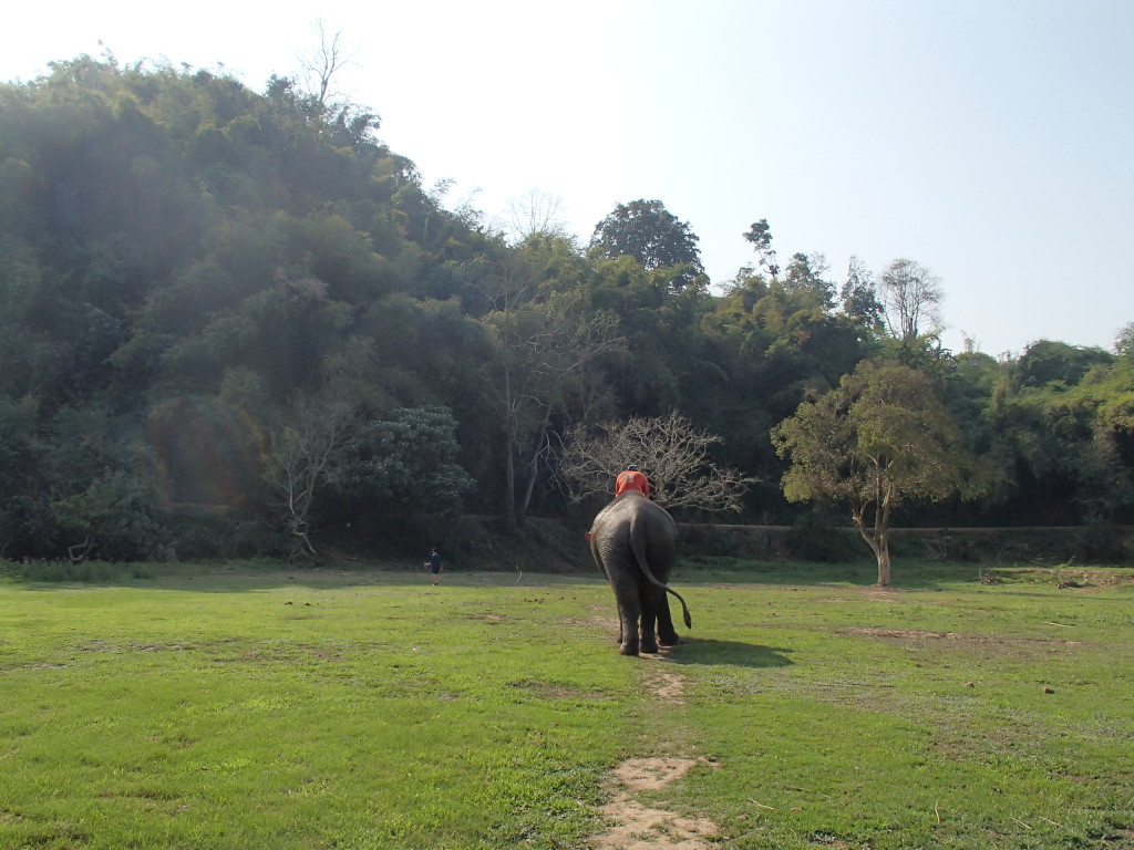 Anantara elephant camp Thailand