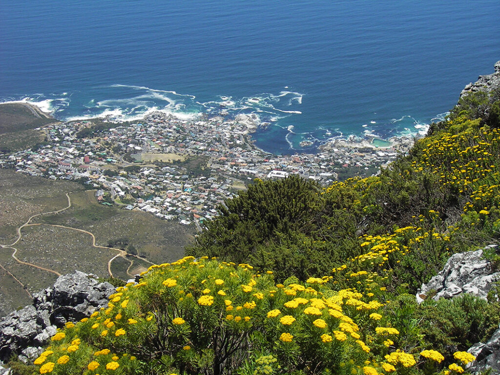 view from Table Mountain Cape Town South Africa
