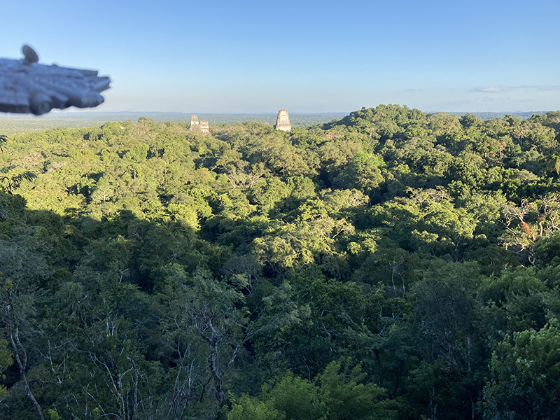 Tikal Temple IV view
