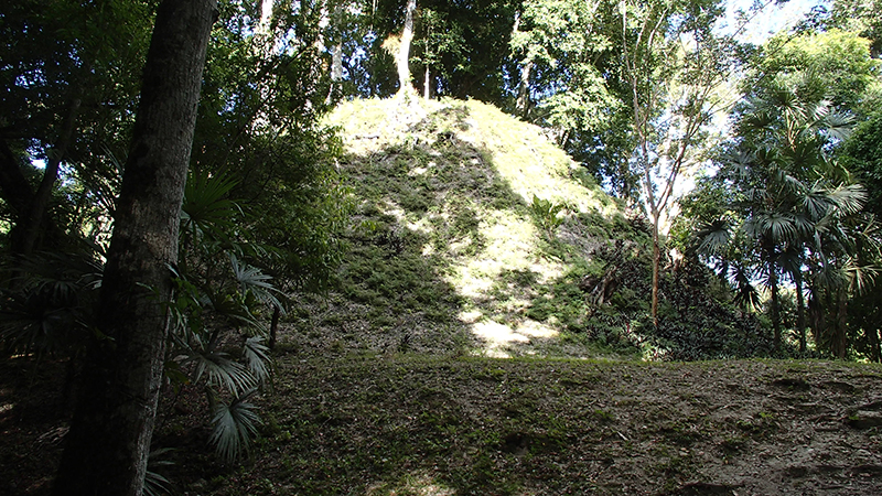 Tikal unexcavated temple