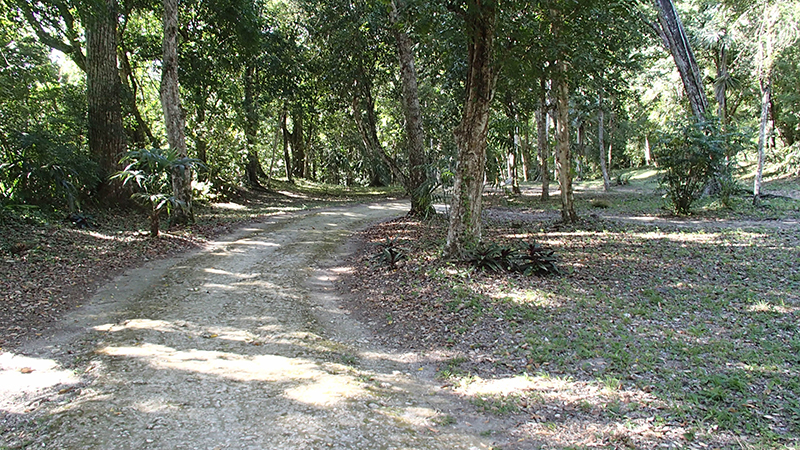 Yaxha Mayan road