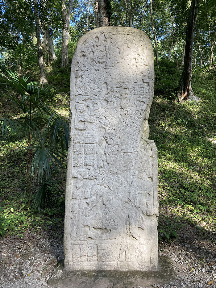 Yaxha stela