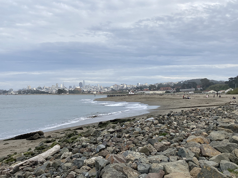 Chrissy Field beach