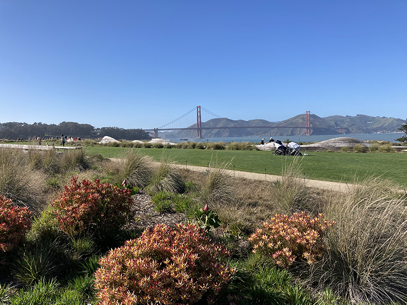Presidio view of Golden Gate bridge