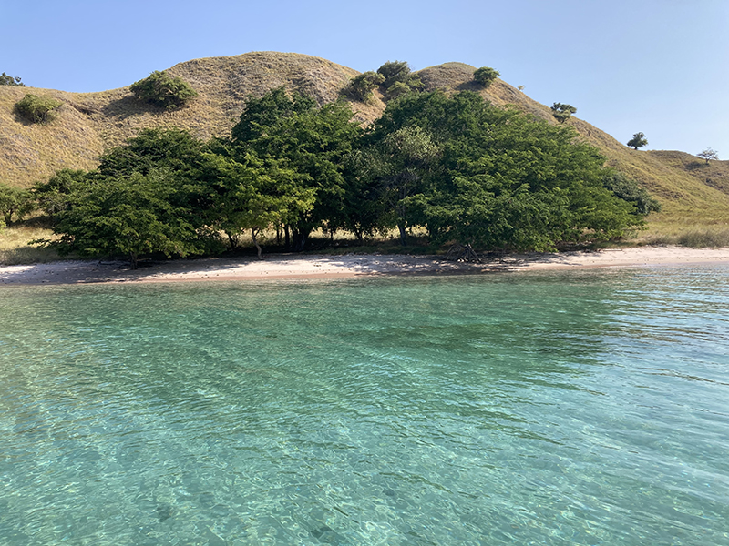 pink sand beach Indonesia