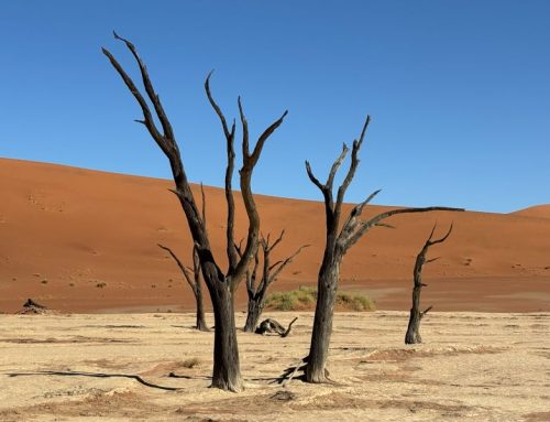 Namib Desert & Sossusvlei Namibia