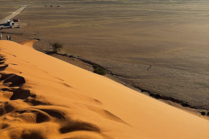 Dune 45