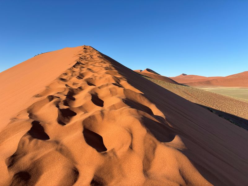 View from Dune 45