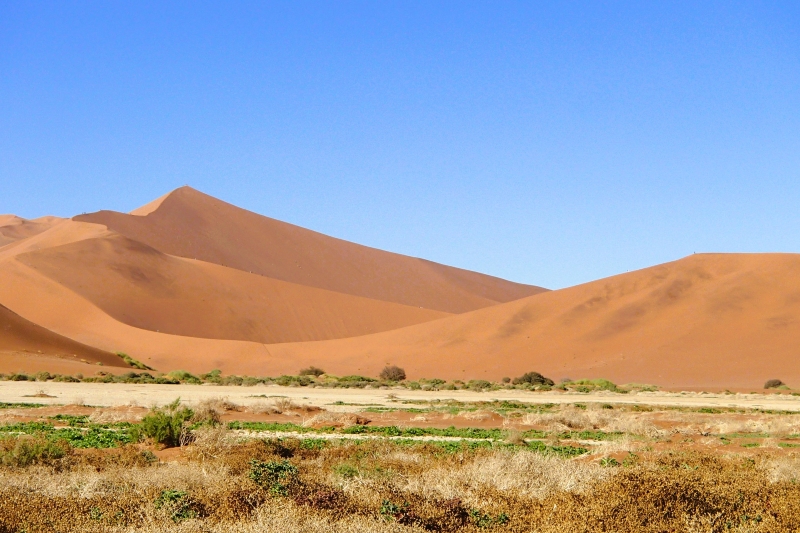 Namib-Naukluft Park dunes