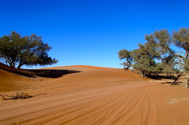 Namib-Naukluft Park dunes
