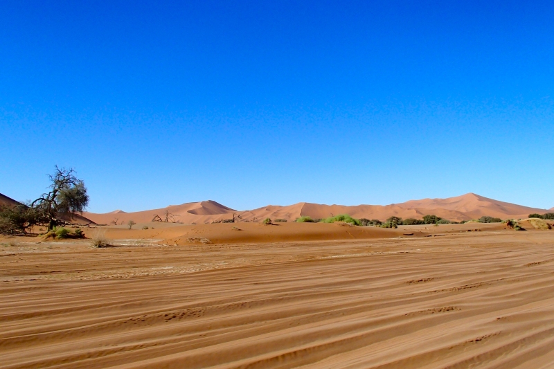 Namib-Naukluft Park dunes