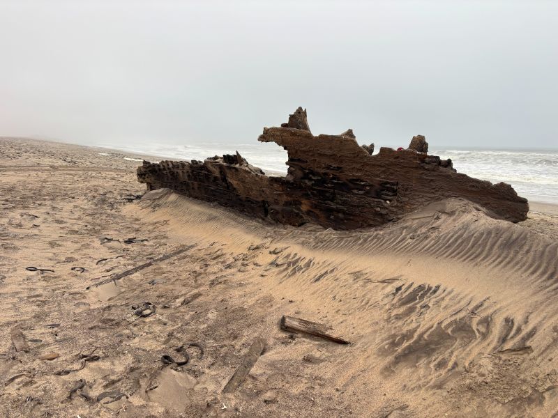 Karimona remains Skeleton Coast Namibia