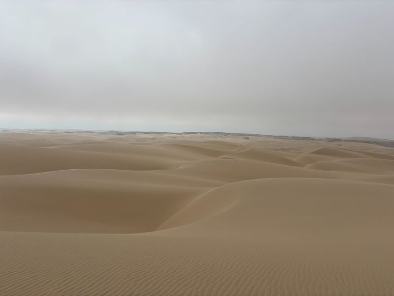 sand dunes Skeleton Coast Namibia