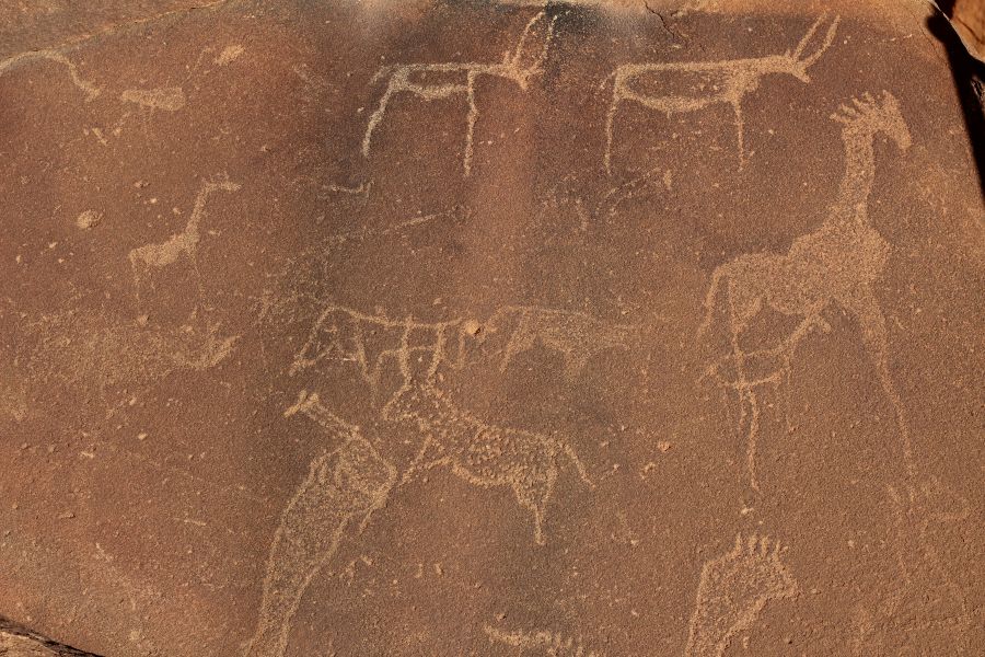 Twyfelfontein petroglyphs Namibia